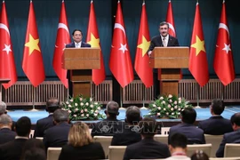Vietnam, Türkiye agree to work for 4 billion USD in two-way trade 