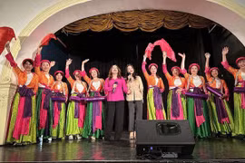 Vietnamese culture night held in Hungary​