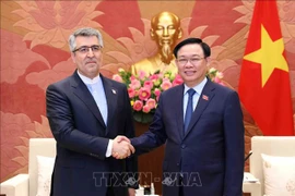 Top Vietnamese legislator’s visit to Iran to help expand bilateral ties: diplomat
