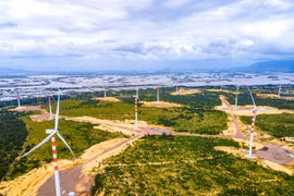 Binh Dinh partners with eight localities in tourism development