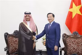 Vietnam treasures friendship, multifaceted ties with Saudi Arabia: Deputy PM