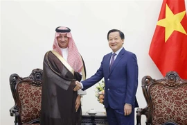 Vietnam treasures friendship, multifaceted ties with Saudi Arabia: Deputy PM
