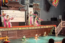 Vietnamese cultural heritages introduced to UNESCO community