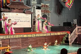 Vietnamese cultural heritages introduced to UNESCO community