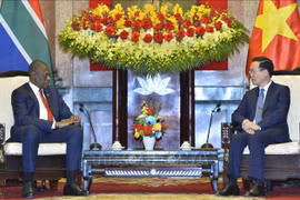 Vietnam treasures partnership with South Africa: President