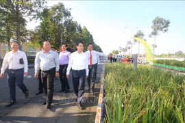 1.3km-long rice-themed road set up at Hau Giang exhibition