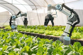 Forum discusses sci-tech application in agriculture value chain