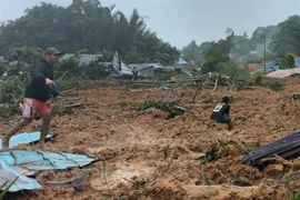 Indonesia steps up efforts to find dozens missing in landslide