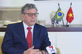 Brazilian Ambassador to Vietnam Marco Farani (Photo: VNA)