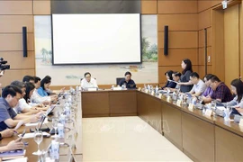 At a group discussion (Photo: VNA)