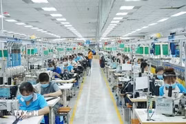 At Dong An 1 Industrial Park in Binh Duong province (Photo: VNA)