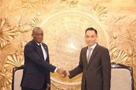 Chairman of the CPV Central Committee's Commission for External Relations Le Hoai Trung (R) and member of the RHDP's Standing Committee Sahy Claude Soumahoro.(Photo: VNA)