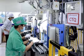Production at Youngbag Vietnam, a RoK-invested firm at Binh Xuyen industrial park in Vinh Phuc province (Photo: VNA)