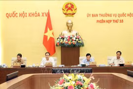 Permanent NA Vice Chairman Tran Thanh Man chairs the meeting (Photo: VNA)