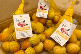 Vietnamese lychees are on display in France (Photo: VNA)