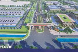 Overview of Tam Duong SHI Industrial Park (Photo: VNA)