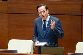 Minister of Labour, Invalids and Social Affairs Dao Ngoc Dung speaks at the meeting. (Photo: VNA)