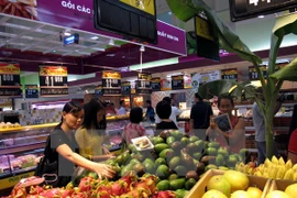 Domestic retailers struggle to compete with foreign rivals
