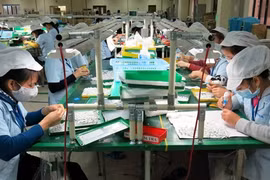 RoK shares development experience with Vietnam 