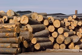 Laos enjoys trade surplus with Vietnam