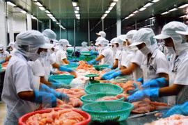 FTA expands trade cooperation opportunities for Vietnam, Russia 
