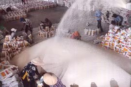 Rice exports less competitive