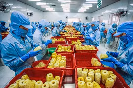 Vietnam’s exports surge 6.6 percent: GSO