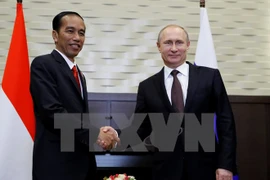 Indonesia, Russia boost bilateral cooperation