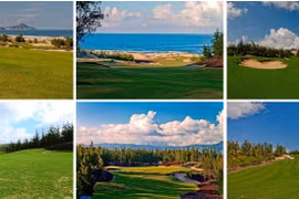 FLC Quy Nhon golf course opens for play 