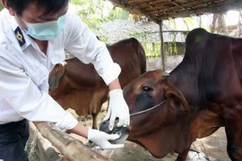 Localities asked to allocate funds for foot and mouth disease control