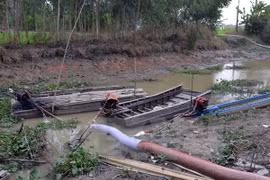 Bac Lieu builds 460 dams to protect agricultural land