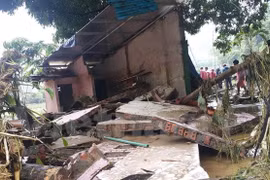 Typhoons caused 297 million USD losses to Vietnam