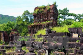 Brand name for central coastal tourism launched