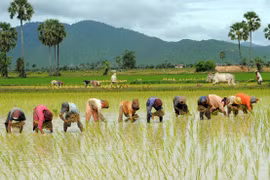 WB resumes loans to Cambodia after 5 year freeze