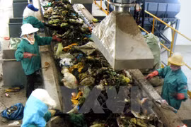 HCM City seeks sustainable solid waste management 