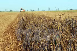 Emergency aid delivered to drought-hit provinces