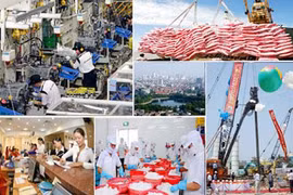 Vietnam’s manufacturing sector resilient: HSBC 