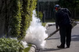 Thailand calms public fear over Zika virus 