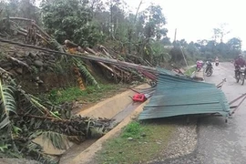 Hailstorm wrecks havoc in many localities