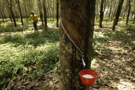 Thailand, Indonesia, Malaysia to cut rubber exports 