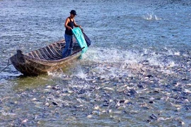 Mekong Delta sustainable development solutions identified