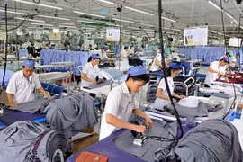 Post TPP outlook bright for Vietnamese economy: experts