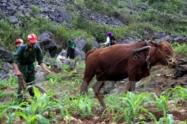 Central Highlands strives for sustainable poverty reduction 