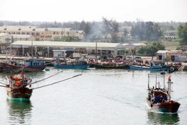 Thua Thien-Hue: Aid for fishermen affected by fish deaths