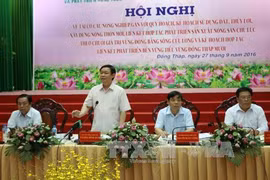 Mekong Delta: Agricultural restructuring needs to follow planning