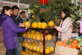 Spring Fair to offer consumer goods for Tet