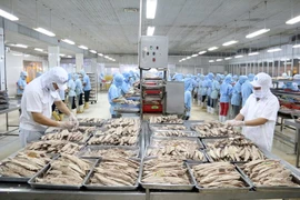 Kien Giang boosts exports 