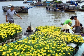 Can Tho to promote Cai Rang floating market