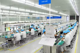 WB: Vietnam sets successful example