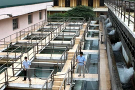 Japan helps Hanoi in clean water loss control